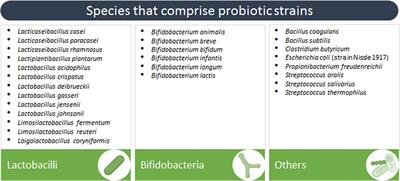 Probiotics, Their Extracellular Vesicles and Infectious Diseases